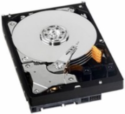 Western Digital HARD DISK 500 GB SATA (WD5000AADS)